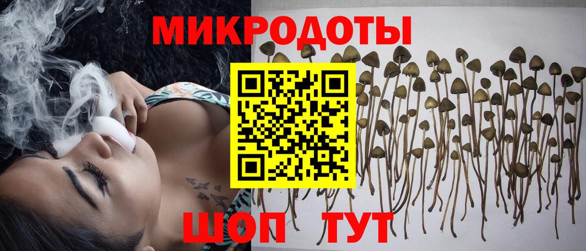Миллерово  Псилоцибиновые грибы прущие грибы  купить   Вход с VPN 